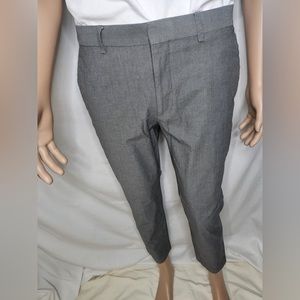 Express Dress Pants